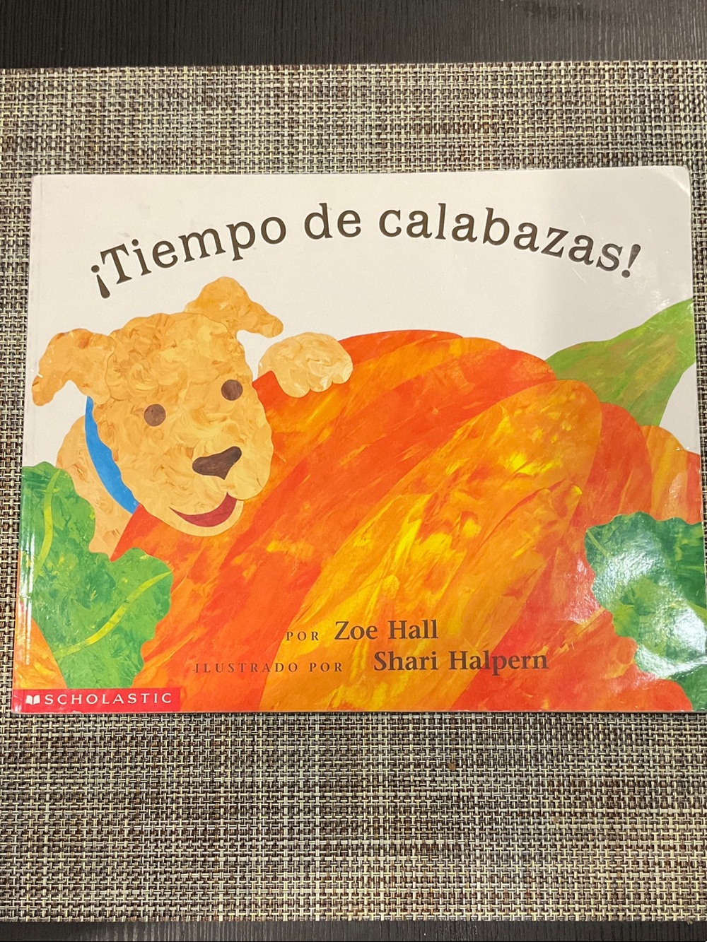 Scholastic Children's Book with Orange Pumpkin and Brown Dog